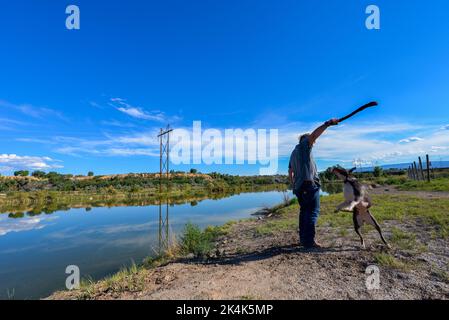 A man holds a big stick up while his dog jumps up to reach it near Fruita in Colorado USA Stock Photo