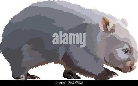 Wombat realistic colored draving vector illustration wild animal. Stock Vector