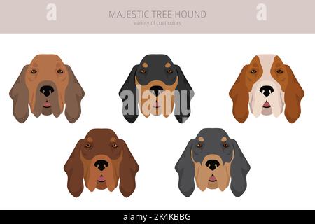 Majestic tree hound clipart. All coat colors set. All dog breeds ...