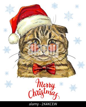 Christmas card with funny Scottish Fold cat portrait in christmas hat, glasses, bow, snowflakes and lettering Merry Christmas. Vector illustration. Fo Stock Vector