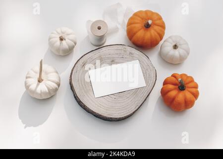Halloween stationery still life. Blank business card, invitation mockup on cut wooden round board. White, orange little pumpkins on table background Stock Photo