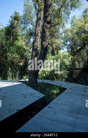 happy old man, sitting waiting, sitting on steps while drinking a cola, you can see columns of a red house Stock Photo