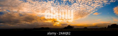 Panoramic view of an evening mackerel sky at sunset with dramatic clouds. Stock Photo