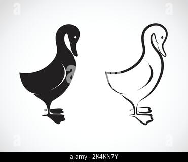 Vector image of a duck design on white background. Easy editable layered vector illustration. Wild Animals. Stock Vector