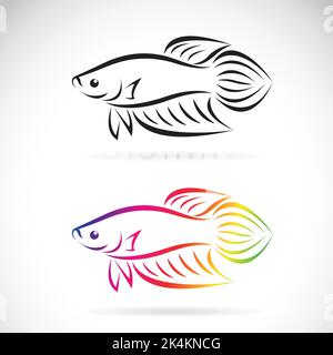 Vector image of a fighting fish design on a white background, Animal Logo. Pet. Easy editable layered vector illustration. Stock Vector