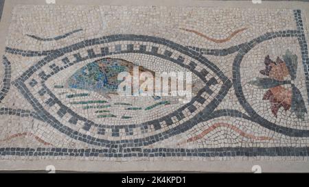 Rome, Centrale Montemartini Museum, Roman mosaic with geometric elements and fish Stock Photo