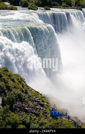 A raging waterfalls surrounded by trees Stock Photo - Alamy