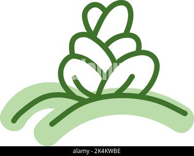 Bunny ears cactus, illustration, vector on a white background. Stock Vector