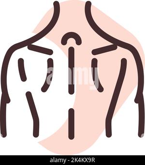 Back muscles, illustration, vector on a white background. Stock Vector