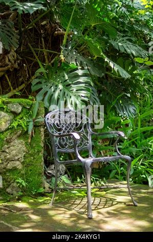 Wooden traditional chair with cushion standing near cozy decor and plaid in wicker basket on green backyard Stock Photo