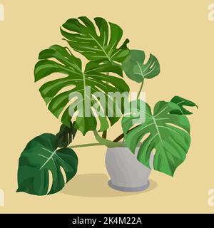 Monstera in pot on the yellow background, tropical plants, modern house plants, vector illustration Stock Vector