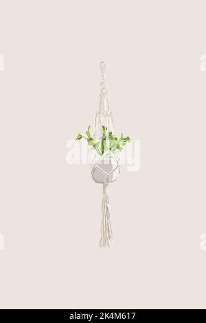 The flowerpot is suspended on a grid. Vector illustration Stock Vector