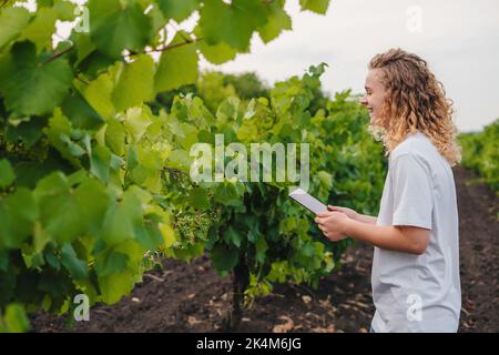 Female agronomist farmer with digital tablet computer in vines using apps and internet in agricultural production. Free space for text. Internet Stock Photo