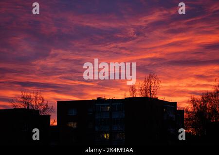 Beautiful red and purple sunset over the buildings in the city with buildings and trees silhouette Stock Photo