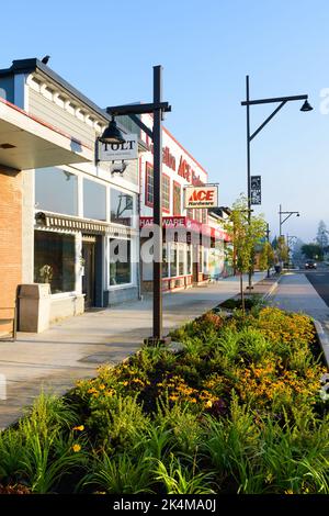 Carnation, WA, USA - October 02, 2022; New planter and sidewalk on State Route 203 in Carnation with plants and shops Stock Photo