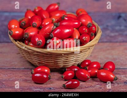 Ripe rose hips in the basket Stock Photo