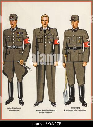 Reich Labour Service [Reichsarbeitsdienst, RAD] , 1938 Stock Photo - Alamy