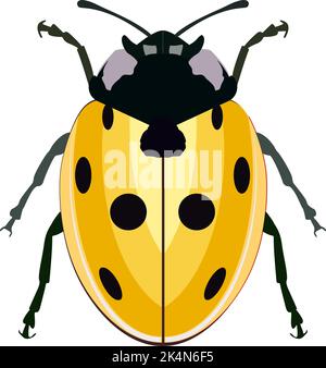 Ladybug silhouette vector art white background Stock Vector Image & Art ...