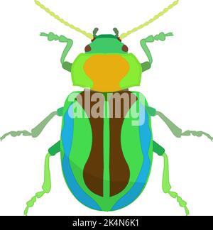 Green leaf beetle, illustration, vector on a white background. Stock Vector