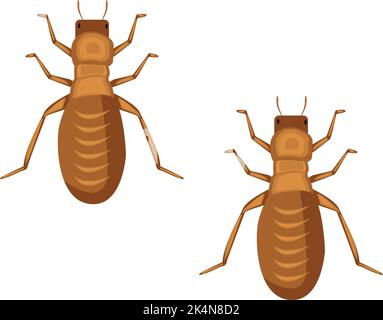 Two lice, illustration, vector on a white background. Stock Vector