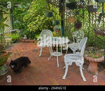 Shaded courtyard garden with red brick paving and decorative table and chairs surrounded by lush plants with dog walking past, in Australia Stock Photo