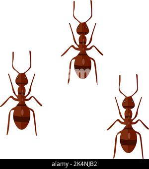 Brown ants, illustration, vector on a white background. Stock Vector