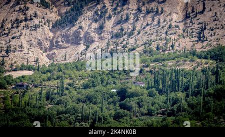 A Walnut Farm on the Side of a High, Dry Mountainside Stock Photo