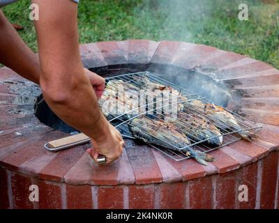 Grilling Fresh Fish over the Fire Pi Stock Photo