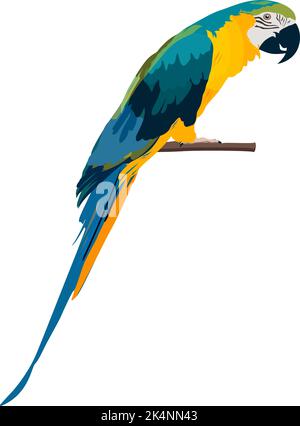 Talking parrot, illustration, vector on a white background. Stock Vector