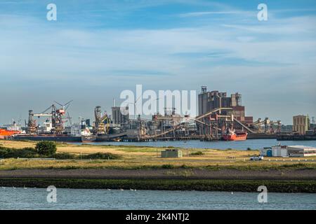 Rotterdam, Netherlands - July 11, 2022: Europoort Bulk Sevices terminal and silos in Beneluxhaven with ships being handled under blue evening sky. Stock Photo