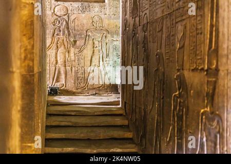 Edfu, Aswan, Egypt. February 25, 2022. Carving of gods in the Temple of Horus at Edfu. Stock Photo