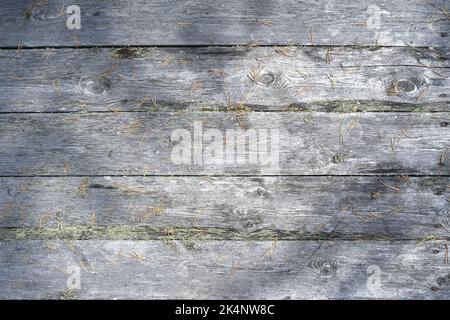 The texture of an old fence with a shadow. Wood texture with horizont lines. The texture of wood with knots and holes. The texture of a tree with moss. Stock Photo