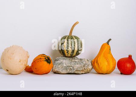 Small colorful decorative pumpkins and natural stone on white background. Thanksgiving concept. Stock Photo