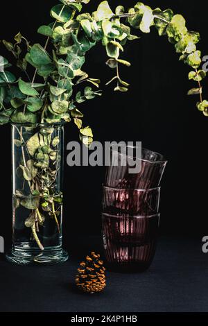 Vase with eucalyptus branches and drinking glasses on black background. Still life. Selective focus. Stock Photo