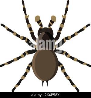 Tarantula spider, illustration, vector on a white background. Stock Vector