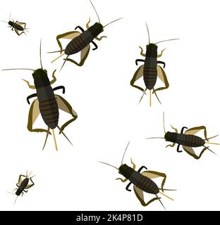 Cricket bugs, illustration, vector on a white background. Stock Vector