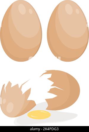 Two cracked eggs, illustration, vector on a white background. Stock Vector
