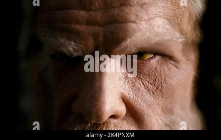 NICK NOLTE, THE SPIDERWICK CHRONICLES, 2008 Stock Photo