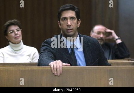 DAVID SCHWIMMER, NOTHING BUT THE TRUTH, 2008 Stock Photo
