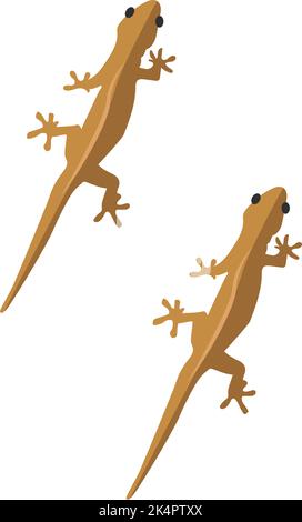 Wall lizard, illustration, vector on a white background. Stock Vector