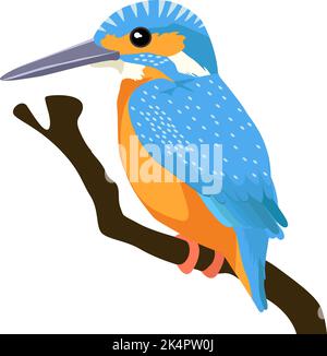 Kingfisher bird, illustration, vector on a white background. Stock Vector