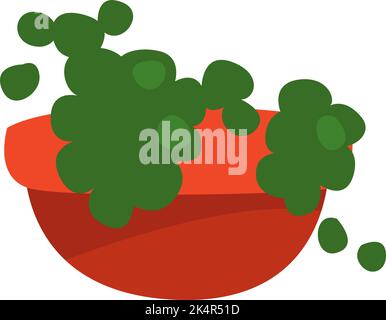 String of pearls plant, illustration, vector on a white background. Stock Vector