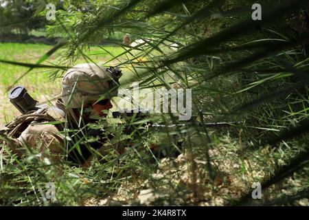 HELMAND PROVINCE, AFGHANISTAN - 27 July 2009 - US Marine Lance Cpl. Brad Stys with Fox Company, 2nd Battalion, 8th Marine Regiment in a field during a Stock Photo