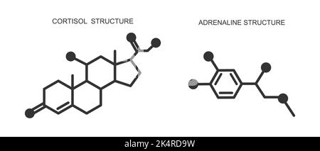 Cortisol and adrenaline icons. Hydrocortisone and epinephrine chemical molecular structure. Stress related hormones produced by adrenal glands. Vector outline illustration Stock Vector
