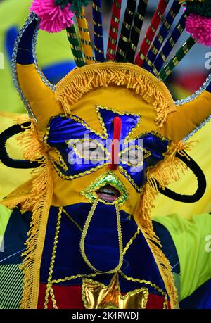 International preparation match, Merkur-Spiel-Arena Düsseldorf: Japan vs Ecuador; Masked Fan Ecuador Stock Photo