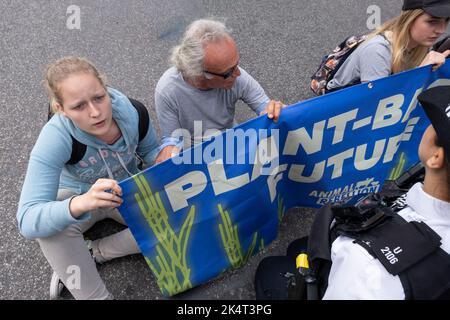 Protesters from the Extinction Rebellion group Animal Rebellion, block a road in Westminster to call for a plant-based future on 5th September 2022 in London, United Kingdom. Extinction Rebellion is a climate change group started in 2018 and has gained a huge following of people committed to peaceful protests. These protests are highlighting that the government is not doing enough to avoid catastrophic climate change and to demand the government take radical action to save the planet. Stock Photo