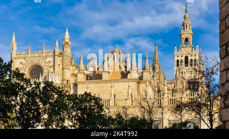 The gothic cathedral, Seville, Seville Province, Andalusia, Spain.  The Giralda tower is on the upper right.  Catedral de Santa María de la Sede/Cathe Stock Photo