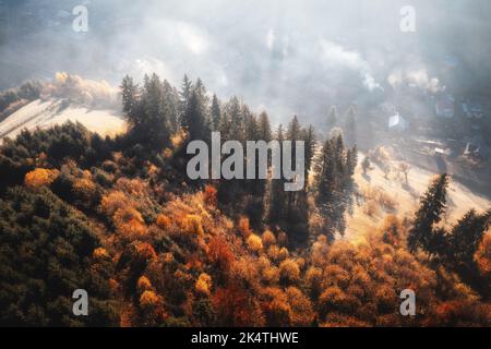 Aerial view of beautiful pine trees on mountain hill in fog Stock Photo