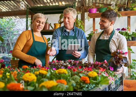 The owner of the nursery and employees in the gardener training take stock together Stock Photo