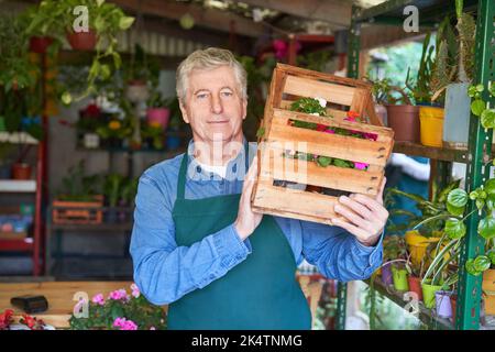 Senior boss in his nursery with a box of flowers on his shoulder for shipping Stock Photo